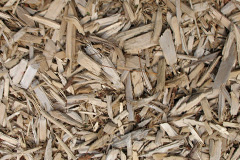 biomass boilers Allerthorpe